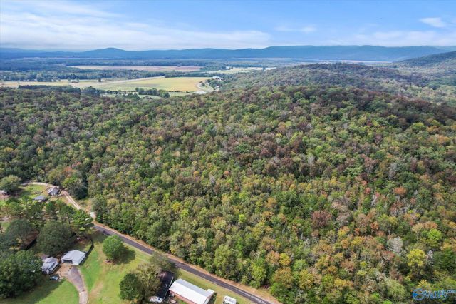 17 Acres Old Grant Road, Woodville, AL 35776