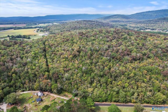 17 Acres Old Grant Road, Woodville, AL 35776