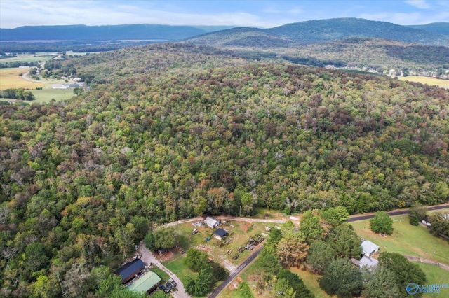 17 Acres Old Grant Road, Woodville, AL 35776