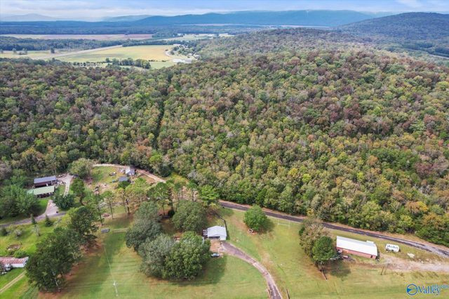 17 Acres Old Grant Road, Woodville, AL 35776