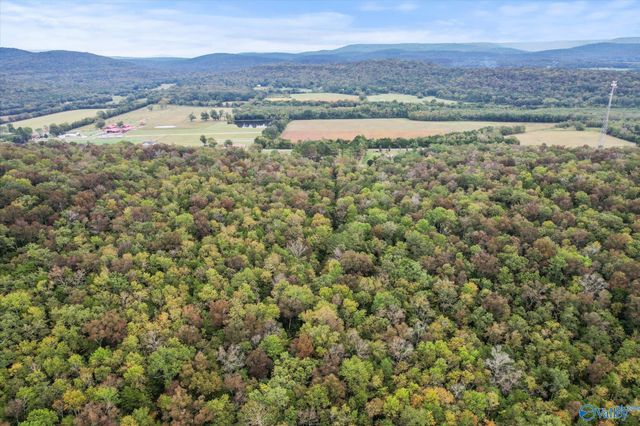 17 Acres Old Grant Road, Woodville, AL 35776