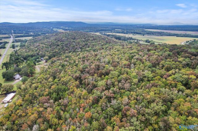 17 Acres Old Grant Road, Woodville, AL 35776