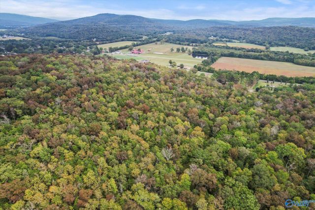 17 Acres Old Grant Road, Woodville, AL 35776