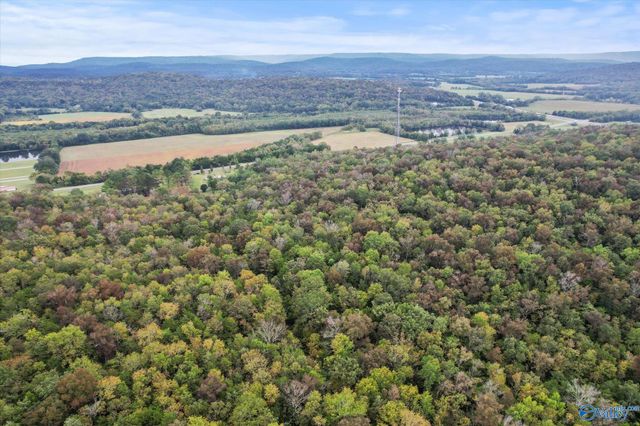 17 Acres Old Grant Road, Woodville, AL 35776