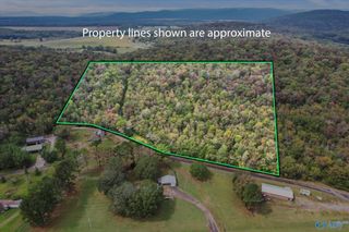 17 Acres Old Grant Road, Woodville, AL 35776