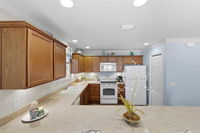 1971 ODEUM STREET, The Villages, FL 32162