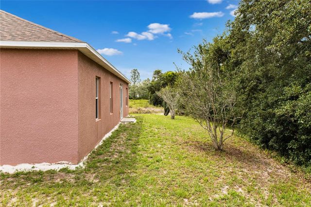 457 RIO GRANDE LANE, Kissimmee, FL 34759