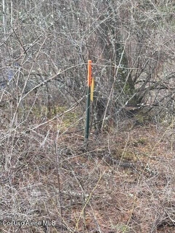 NKA S Hinds Dr Lots 10 & 11, St. Maries, ID 83861 photo 10