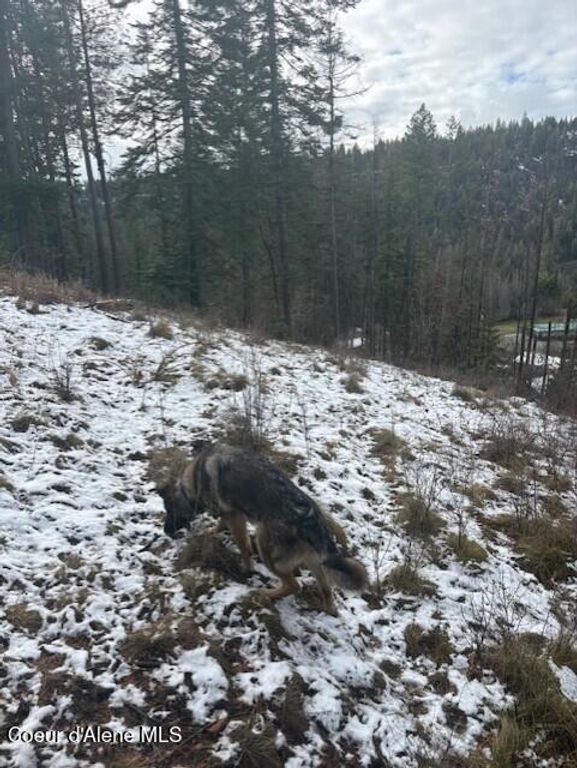 NKA S Hinds Dr Lots 10 & 11, St. Maries, ID 83861 photo 11