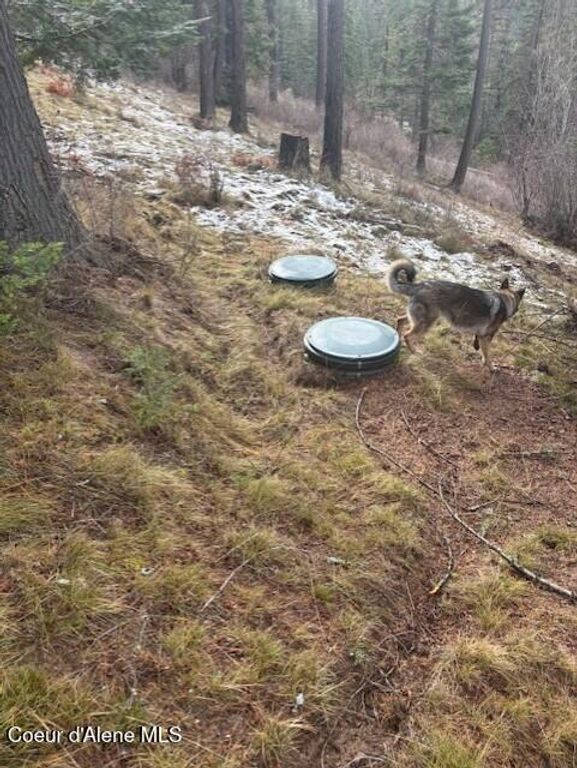 NKA S Hinds Dr Lots 10 & 11, St. Maries, ID 83861 photo 15
