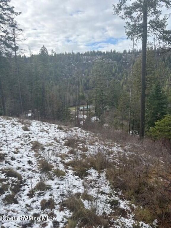 NKA S Hinds Dr Lots 10 & 11, St. Maries, ID 83861 photo 2