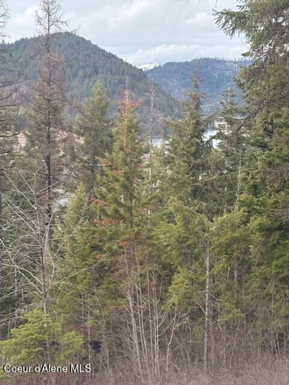 NKA S Hinds Dr Lots 10 & 11, St. Maries, ID 83861 photo 4