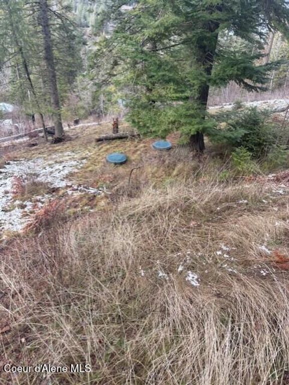 NKA S Hinds Dr Lots 10 & 11, St. Maries, ID 83861 photo 7