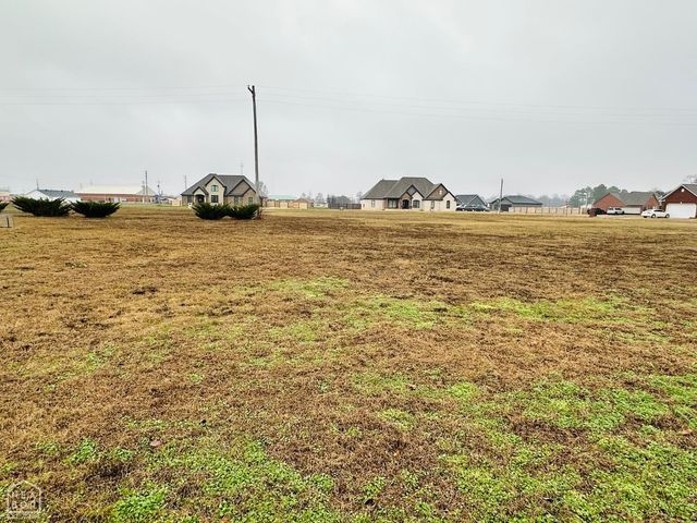 414 Willow Bend Cove, Newport, AR 72112