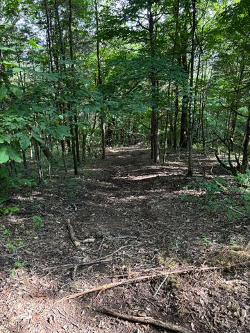 2517 Patton Hollow Rd, Watertown, TN 37184