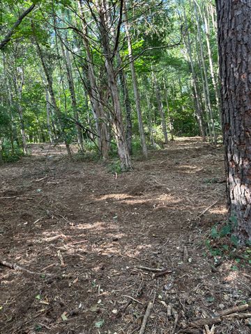2517 Patton Hollow Rd, Watertown, TN 37184
