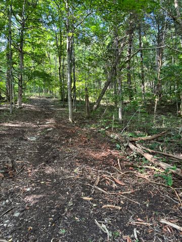 2517 Patton Hollow Rd, Watertown, TN 37184