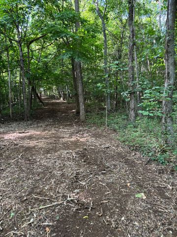 2517 Patton Hollow Rd, Watertown, TN 37184