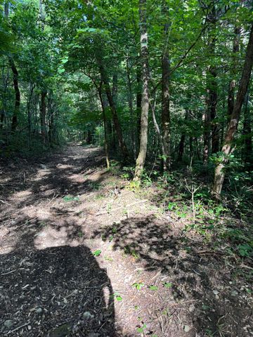 2517 Patton Hollow Rd, Watertown, TN 37184