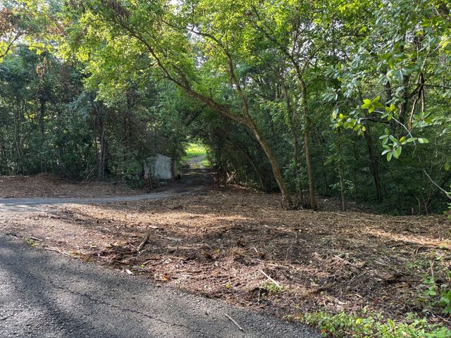 2517 Patton Hollow Rd, Watertown, TN 37184