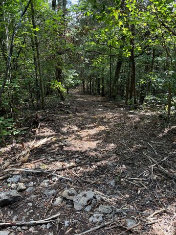 2517 Patton Hollow Rd, Watertown, TN 37184