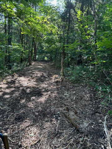 2517 Patton Hollow Rd, Watertown, TN 37184