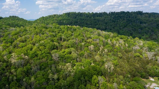 2517 Patton Hollow Rd, Watertown, TN 37184