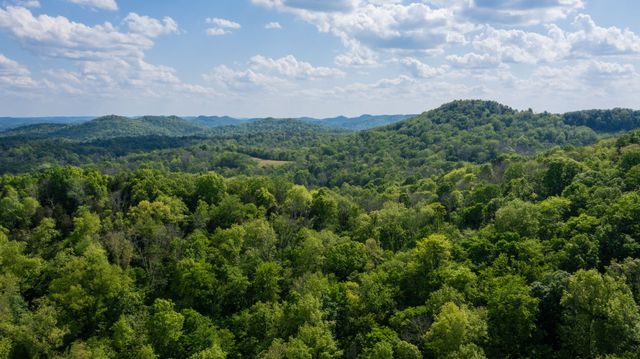 2517 Patton Hollow Rd, Watertown, TN 37184
