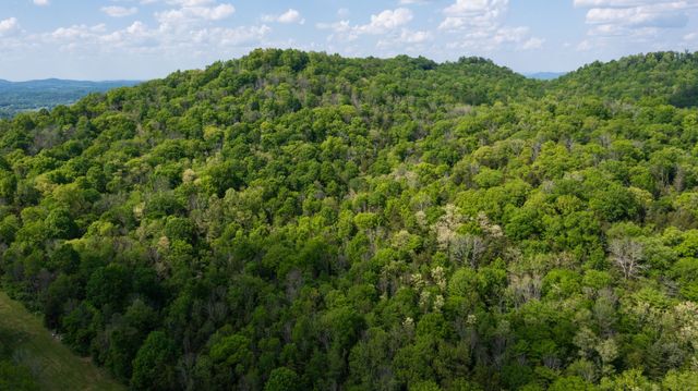 2517 Patton Hollow Rd, Watertown, TN 37184