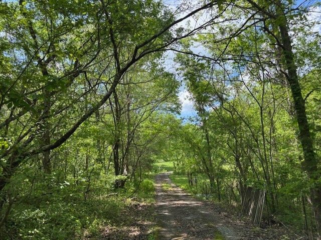 2517 Patton Hollow Rd, Watertown, TN 37184