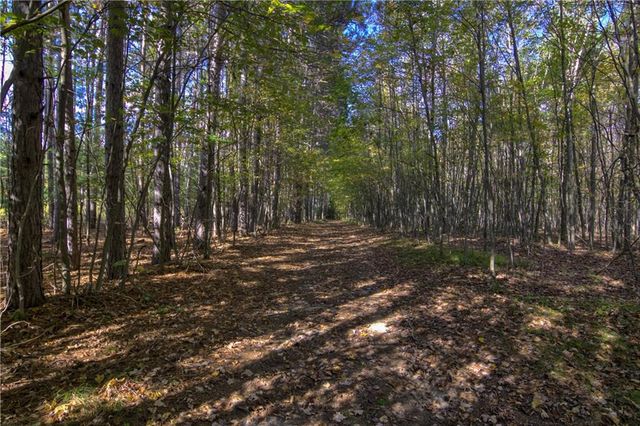 W6674 Poertner Road, Neillsville, WI 54456