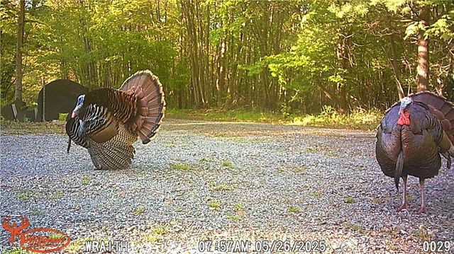 W6674 Poertner Road, Neillsville, WI 54456