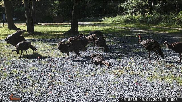 W6674 Poertner Road, Neillsville, WI 54456