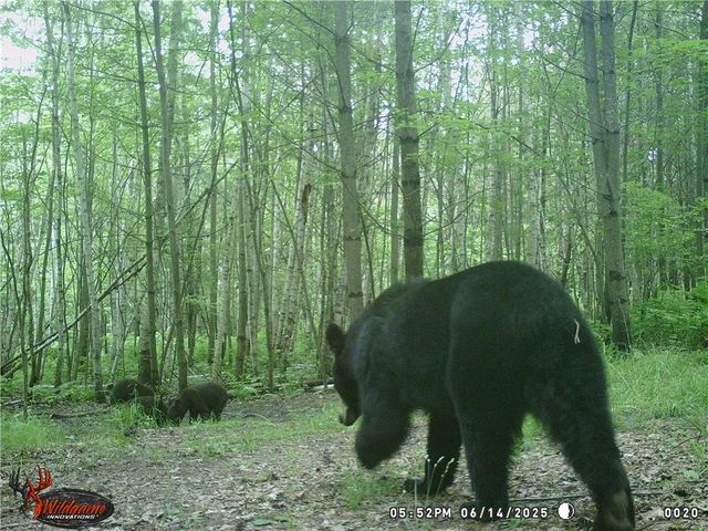 W6674 Poertner Road, Neillsville, WI 54456