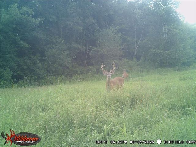 W6674 Poertner Road, Neillsville, WI 54456