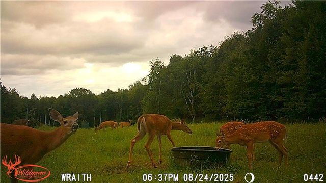 W6674 Poertner Road, Neillsville, WI 54456