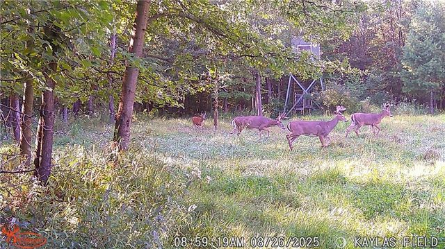 W6674 Poertner Road, Neillsville, WI 54456