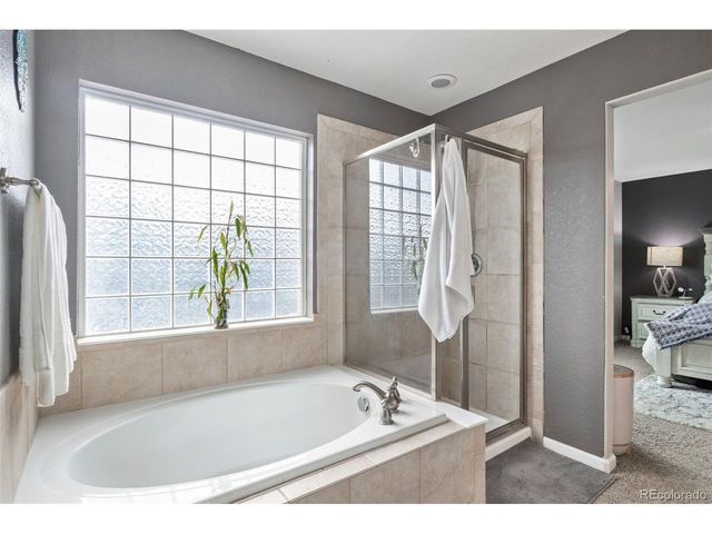 573 Springvale Rd, Castle Rock, CO 80104