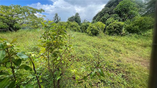 908 st BARRIO TEJAS, Yabucoa, PR 00767