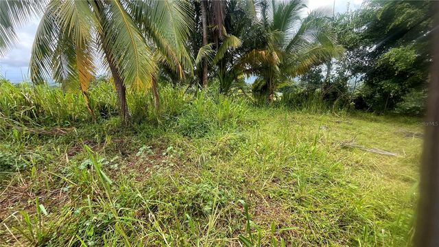 908 st BARRIO TEJAS, Yabucoa, PR 00767