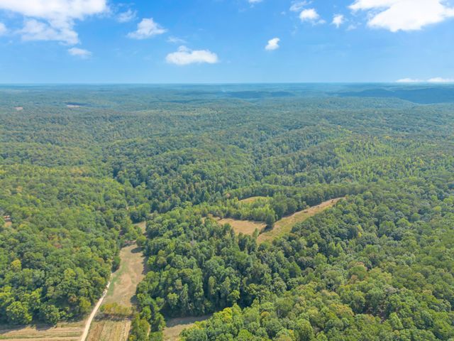 1155 Russell Creek Rd, Centerville, TN 37033