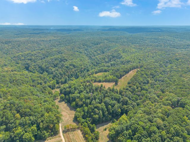 1155 Russell Creek Rd, Centerville, TN 37033