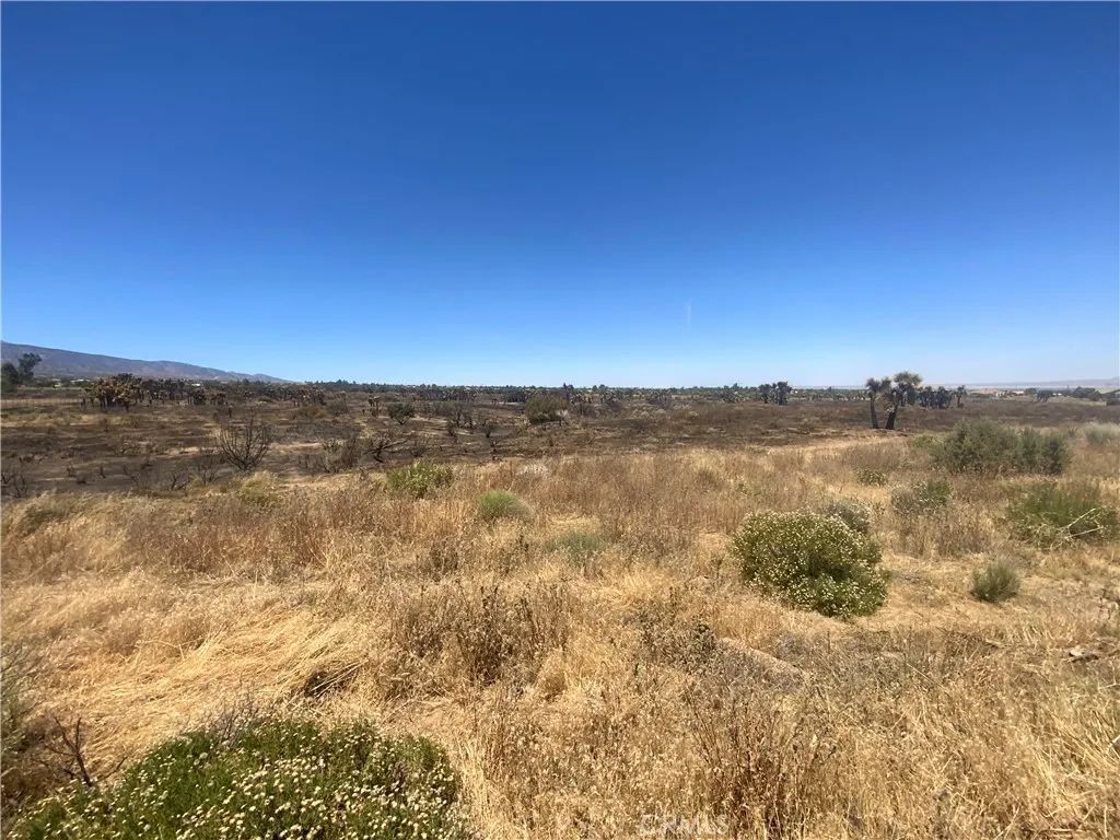 0 Joshua Tree, Lucerne Valley, CA 92285
