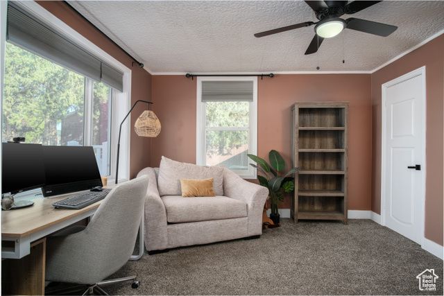 557 S ANGEL ST, Layton, UT 84041