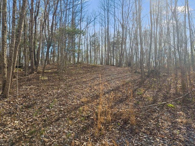 0 Walden Drive Lot 27, Signal Mountain, TN 37377