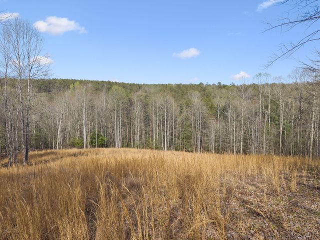 0 Walden Drive Lot 27, Signal Mountain, TN 37377