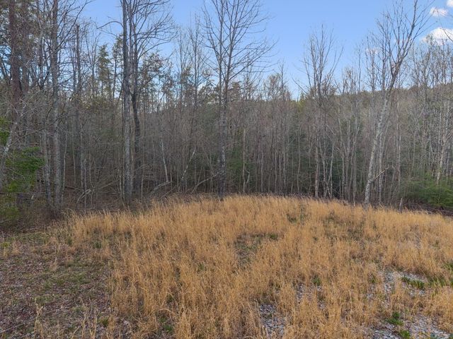 0 Walden Drive Lot 27, Signal Mountain, TN 37377