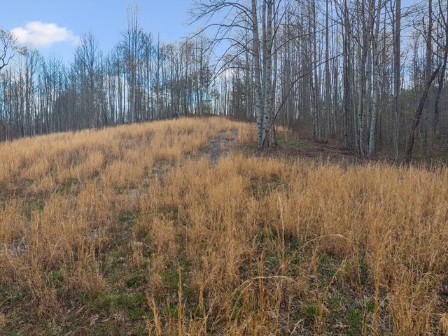 0 Walden Drive Lot 27, Signal Mountain, TN 37377