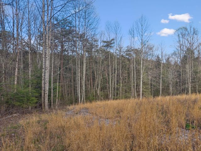 0 Walden Drive Lot 27, Signal Mountain, TN 37377