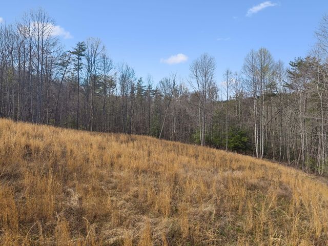 0 Walden Drive Lot 27, Signal Mountain, TN 37377